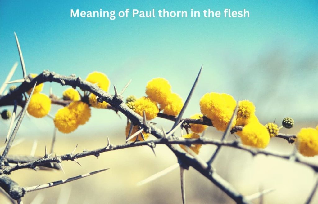 Meaning of Paul thorn in the flesh