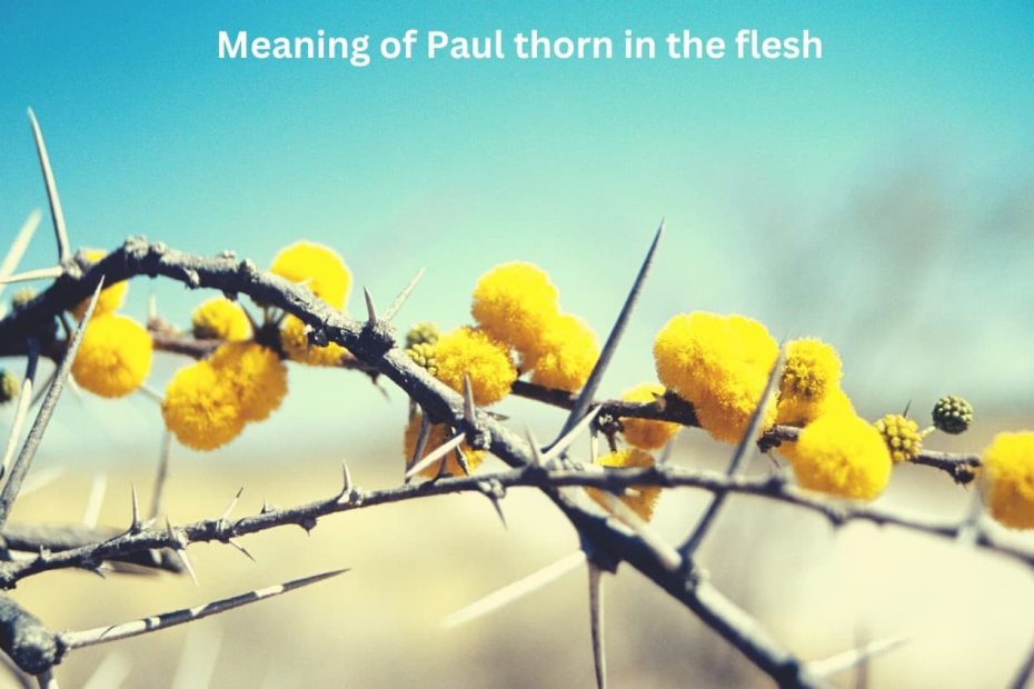 Meaning of Paul thorn in the flesh