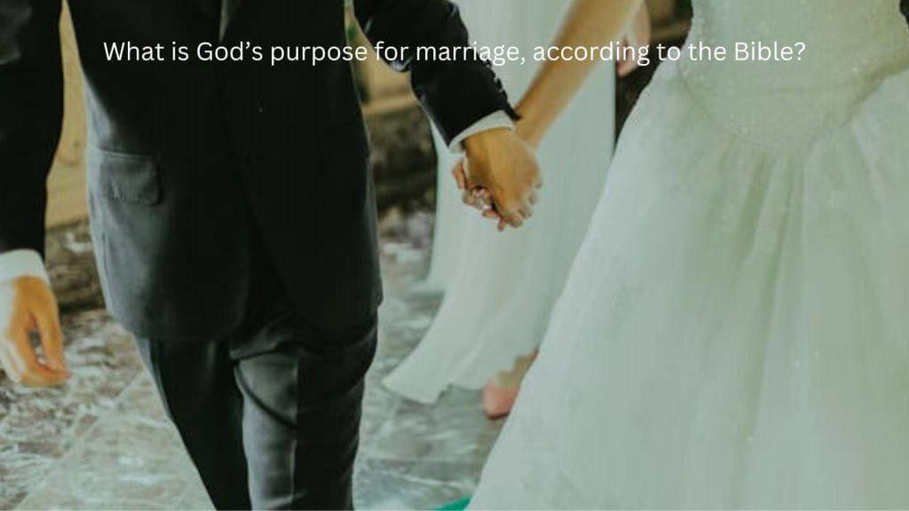 What is the purpose for marriage, according to the Bible?