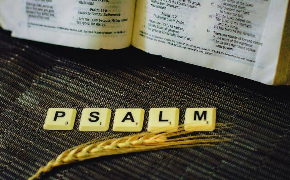 What does Psalms 1 verses 1, 2, 3, 4, 5, and 6 mean or teach us?